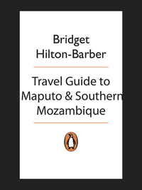 Cover image: Travel Guide to Maputo and Southern Mozambique 1st edition 9780143528302
