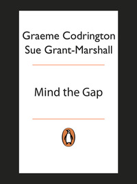 Cover image: Mind the Gap 1st edition 9780143528418