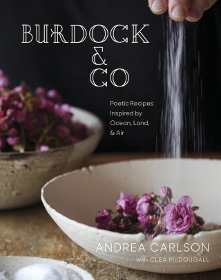 Cover image: Burdock & Co 9780147531223