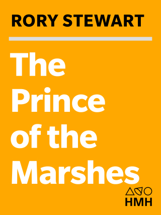 表紙画像: The Prince of the Marshes 1st edition 9780156033008