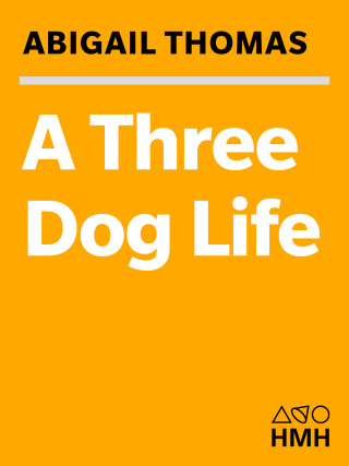 Titelbild: A Three Dog Life 1st edition 9780156033237