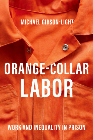 صورة الغلاف: Orange-Collar Labor 9780190055400
