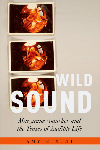 Imagen de portada: Wild Sound 9780190060893