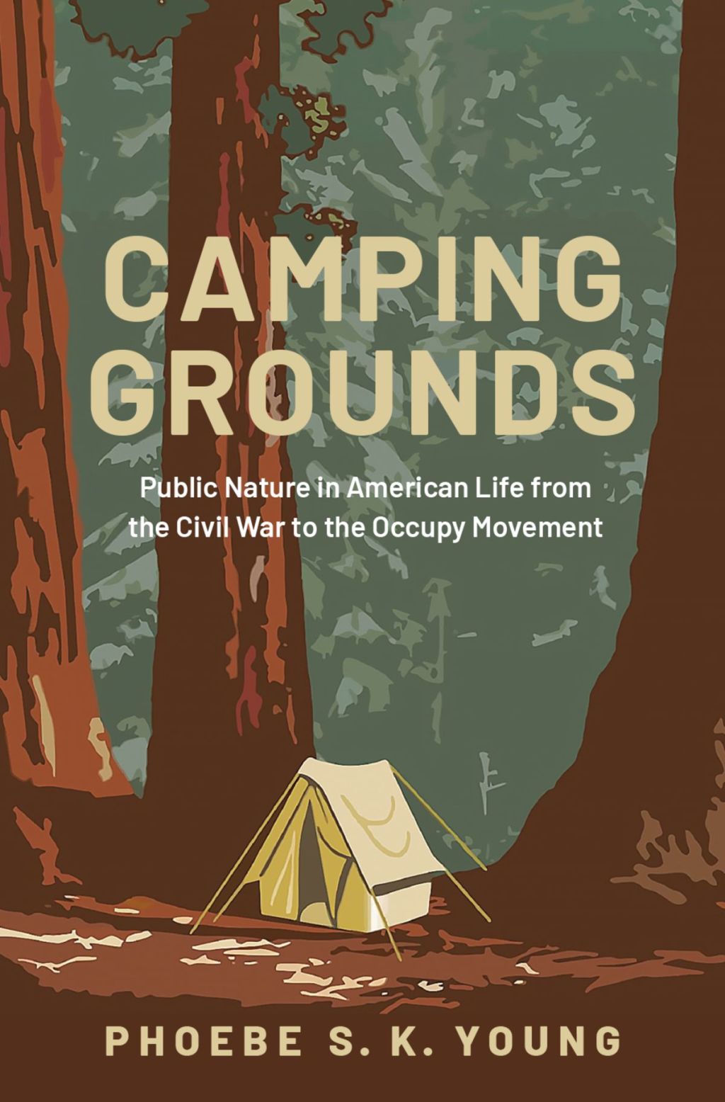 Camping Grounds Public Nature in American Life from the Civil War to the Occupy Movement