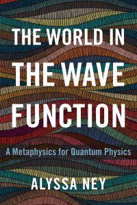 Cover image: The World in the Wave Function 9780190097714