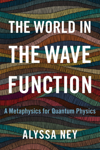 Cover image: The World in the Wave Function 9780190097714