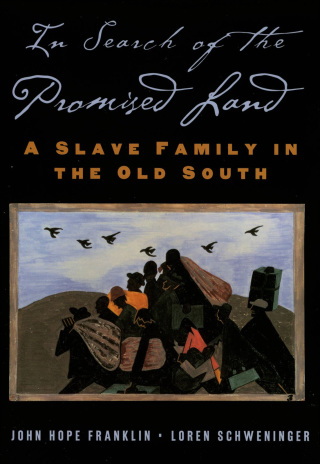 Cover image: In Search of the Promised Land 9780195160888