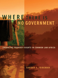 Cover image: Where There is No Government 9780199782482