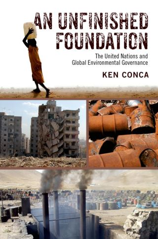 Cover image: An Unfinished Foundation 9780190232863