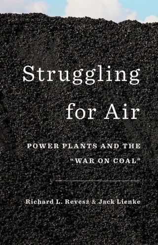 Cover image: Struggling for Air 9780190233112