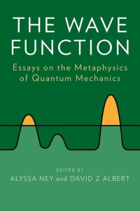 Cover image: The Wave Function 1st edition 9780199790807