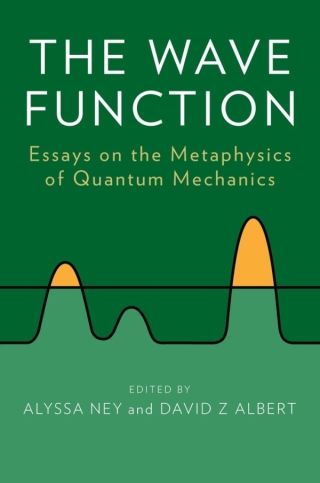 Immagine di copertina: The Wave Function 1st edition 9780199790807
