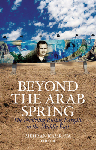 Imagen de portada: Beyond the Arab Spring 1st edition 9780199384419