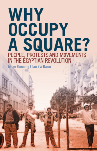 Omslagafbeelding: Why Occupy a Square? 9780199394982