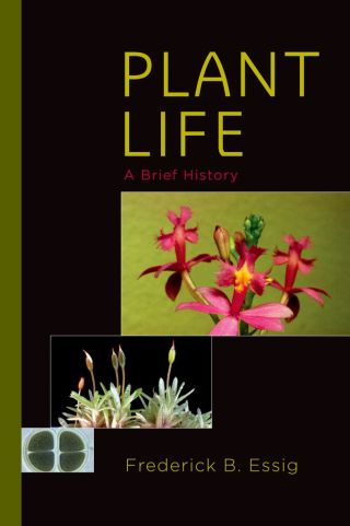 Cover image: Plant Life 9780199362646
