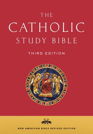صورة الغلاف: The Catholic Study Bible 3rd edition 9780190267247
