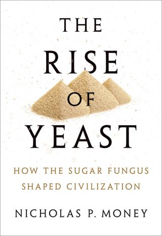 Cover image: The Rise of Yeast 9780190270711