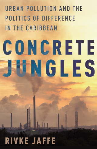 صورة الغلاف: Concrete Jungles 9780190273590
