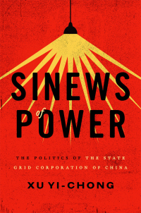 Cover image: Sinews of Power 9780190279523