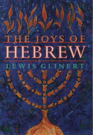 صورة الغلاف: The Joys of Hebrew 9780195074246