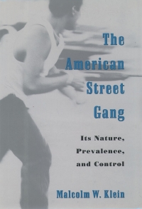 Cover image: The American Street Gang 1st edition 9780195115734