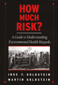 Cover image: How Much Risk? 9780195139945