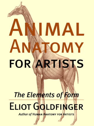 Omslagafbeelding: Animal Anatomy for Artists 9780195142143