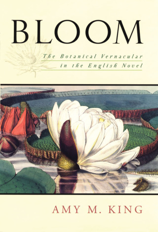 Imagen de portada: Bloom 9780195161519