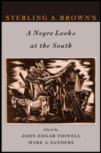 Omslagafbeelding: Sterling A. Brown's A Negro Looks at the South 1st edition 9780195313994