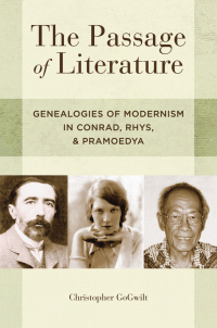 Cover image: The Passage of Literature 9780199751624