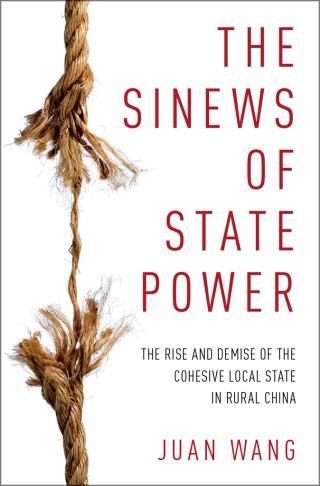 Imagen de portada: The Sinews of State Power 9780190605735
