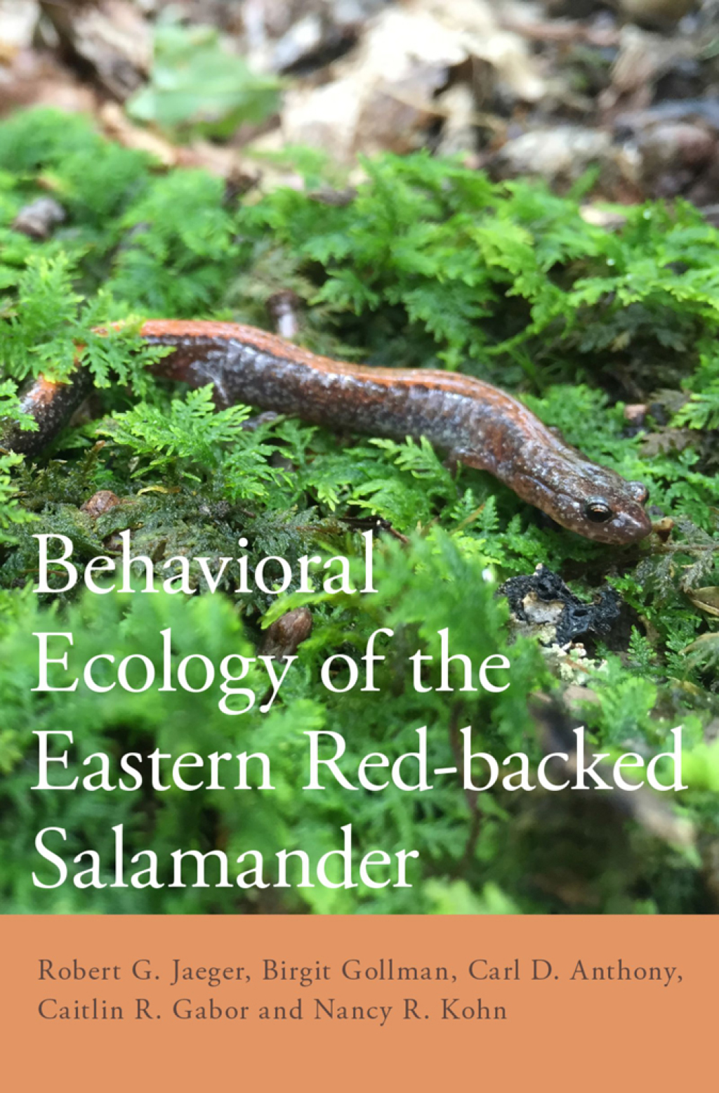 Behavioral Ecology of the Eastern Red-backed Salamander 50 Years of Research