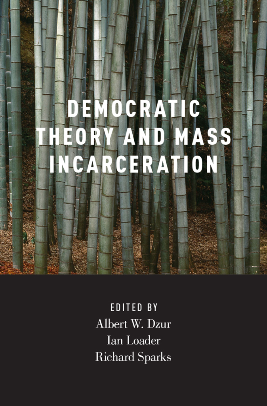 Democratic Theory and Mass Incarceration 1st Edition