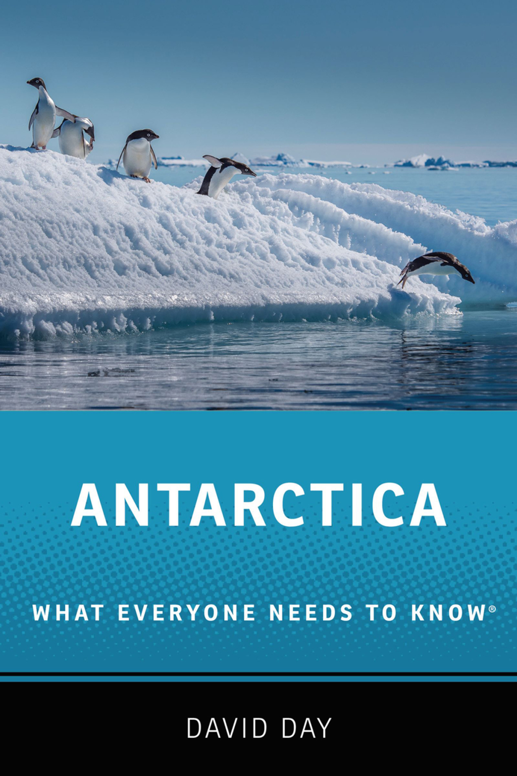 Antarctica What Everyone Needs to Know®