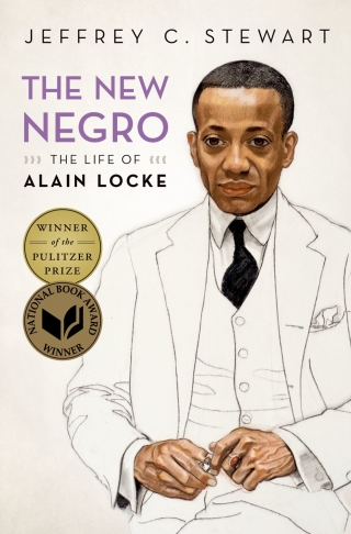 Cover image: The New Negro 9780195089578