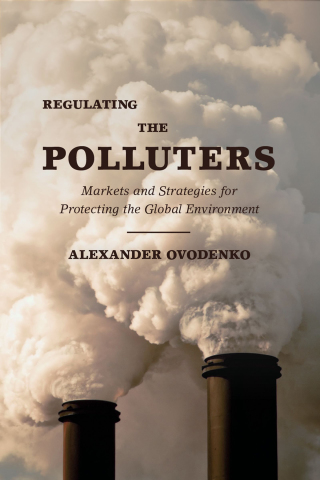 Imagen de portada: Regulating the Polluters 9780190677725