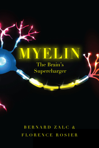 صورة الغلاف: Myelin 1st edition 9780190686093