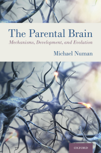 Cover image: The Parental Brain 1st edition 9780190848675