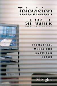 Cover image: Television at Work 9780190855796