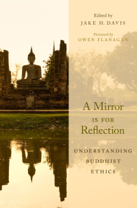 Cover image: A Mirror Is for Reflection 1st edition 9780190499778