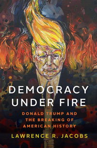Imagen de portada: Democracy under Fire 9780190877248