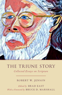 Cover image: The Triune Story 9780190917005