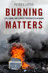 Imagen de portada: Burning Matters 9780190934552