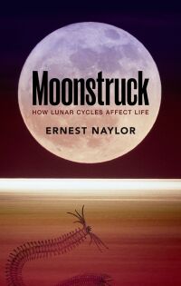 Cover image: Moonstruck 9780198724223