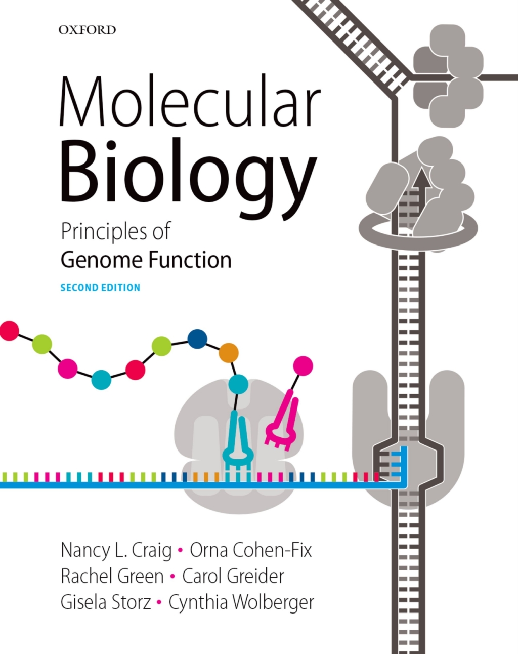 Molecular Biology: Principles of Genome Function 2nd Edition