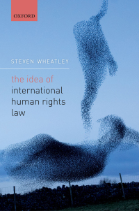 Imagen de portada: The Idea of International Human Rights Law 9780198749844