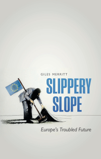 Cover image: Slippery Slope 9780191075292