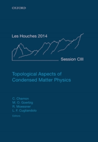 Cover image: Topological Aspects of Condensed Matter Physics 1st edition 9780198785781