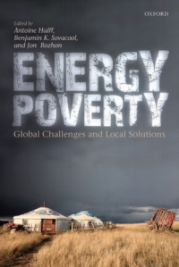 Cover image: Energy Poverty 1st edition 9780199682362