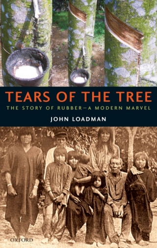 Cover image: Tears of the Tree 9780198705000